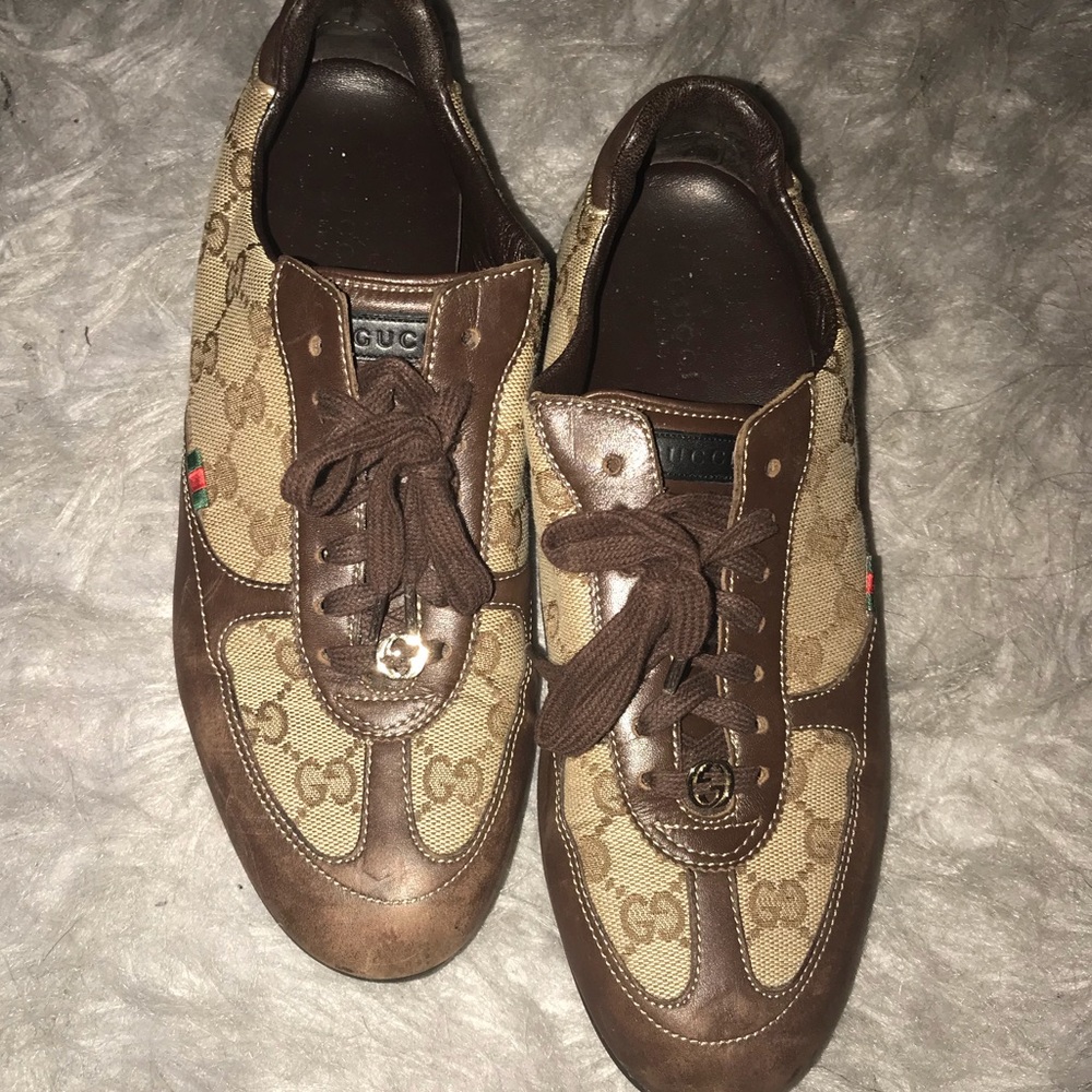 Classic Brown Gucci sneaker