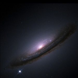 Meet your Posher, Steve