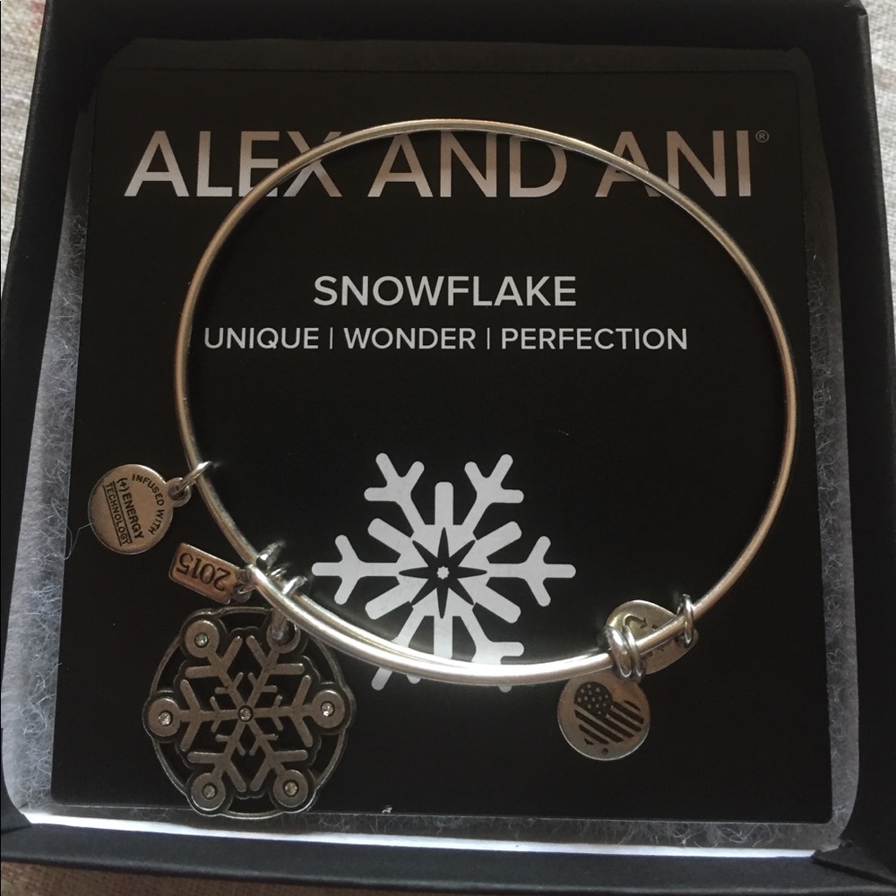 ❄️☃️Alex and Ani Bracelet❄️