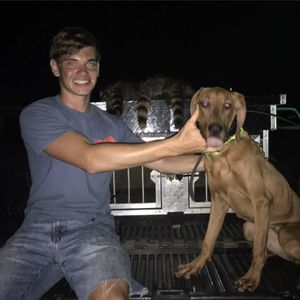 Meet your Posher, Bailey