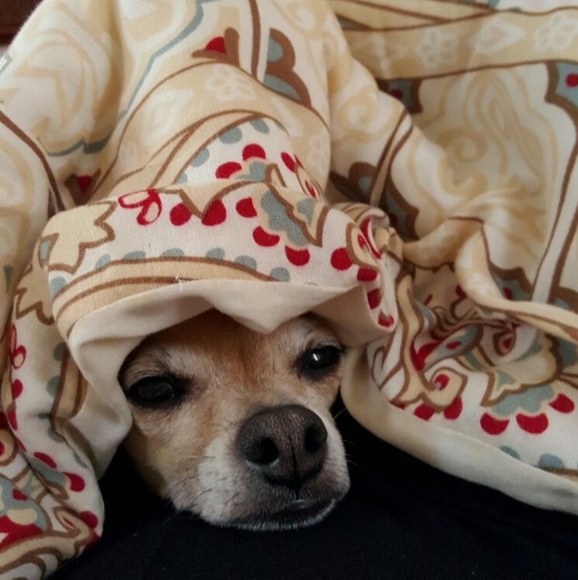 Meet your Posher, Mark - Picture 3 of 6