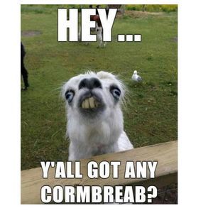 Meet your Posher, Marcos