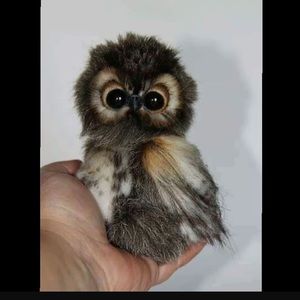 Meet your Posher, Kari