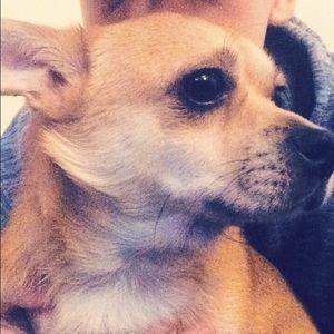 Meet your Posher, Roger