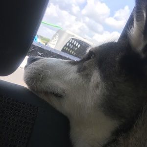 Meet your Posher, Jaquelin