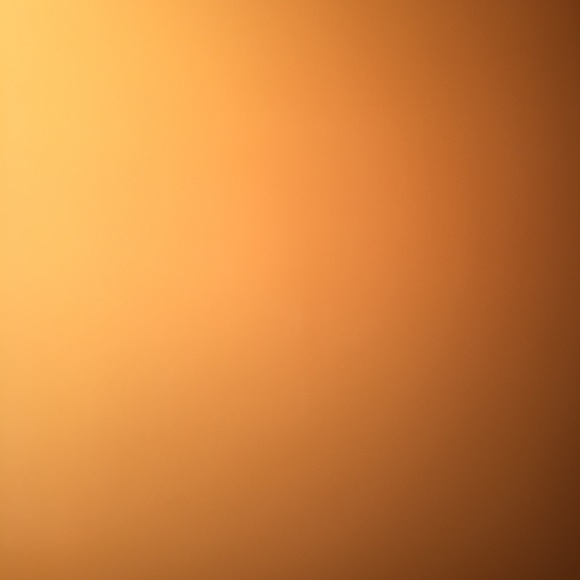 Meet your Posher, Logan - Picture 1 of 1