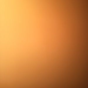 Meet your Posher, Logan