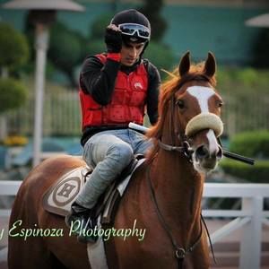 Meet your Posher, Cesar