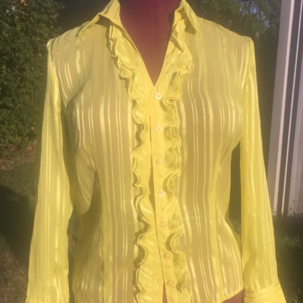 Lemon Lime Sheer Blouse Sz S 4/6