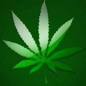 Meet your Posher, Ron