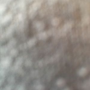 Meet your Posher, Nora