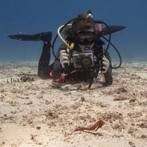 Meet your Posher, Elisabeth