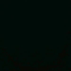 Meet your Posher, Jake