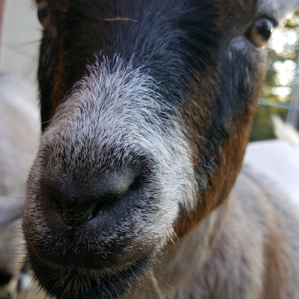 Meet your Posher, Jenna