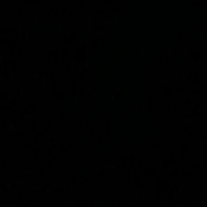 Meet your Posher, Bryan