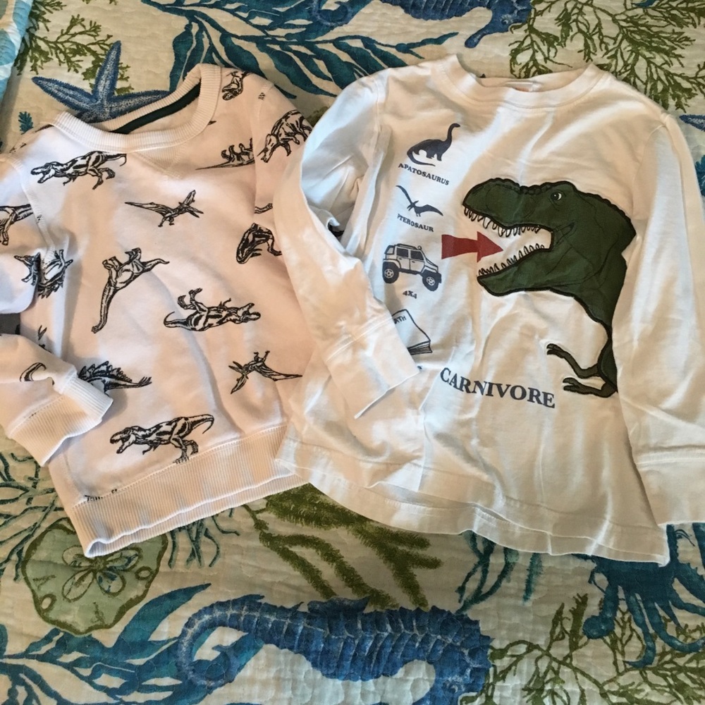 Dinosaur Set