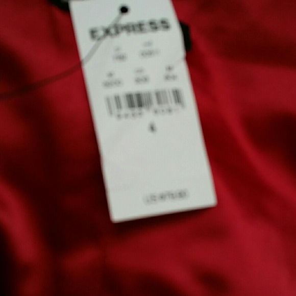 EXPRESS Pleated Burgundy Empire Cocktail Dess - Picture 3 of 4