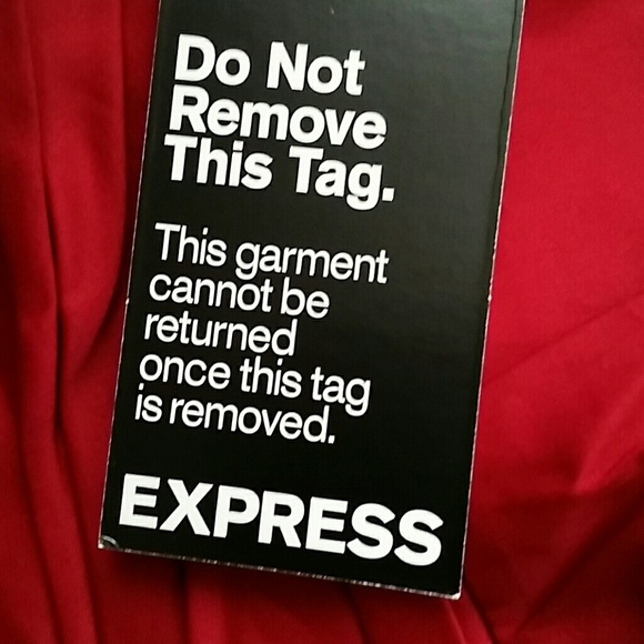 EXPRESS Pleated Burgundy Empire Cocktail Dess - Picture 4 of 4