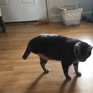 Meet your Posher, Brandi