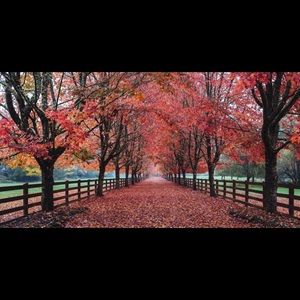 Meet your Posher, Evelyn