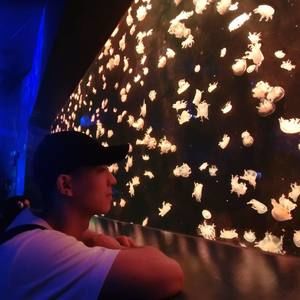 Meet your Posher, Alan