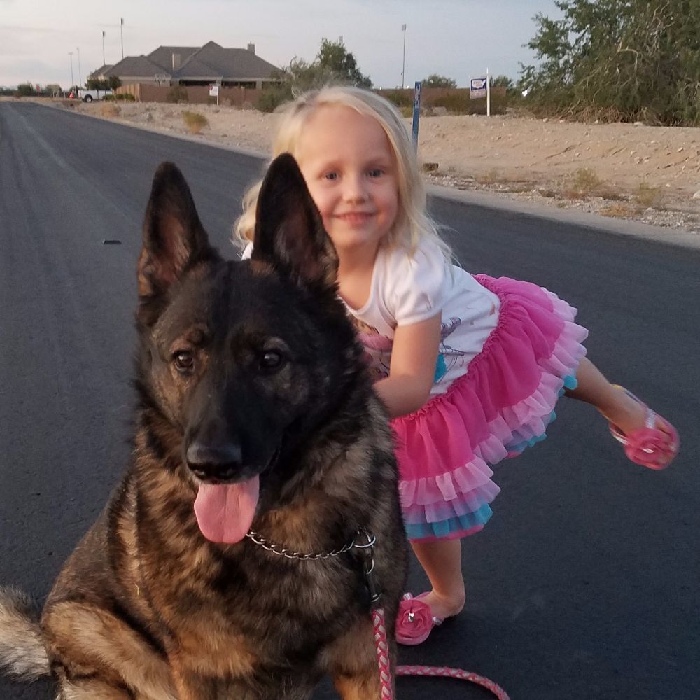 Meet your Posher, Shannon