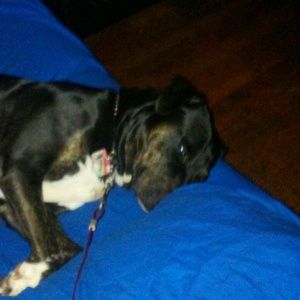 Meet your Posher, Edwin