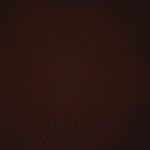 Meet your Posher, Ava