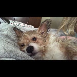 Meet your Posher, Natalie