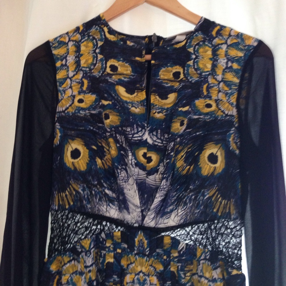 Peacock dress