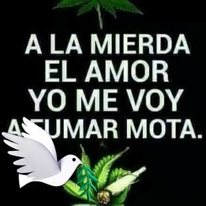 Meet your Posher, Mauricio