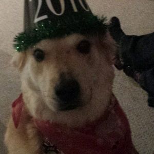 Meet your Posher, Cathy