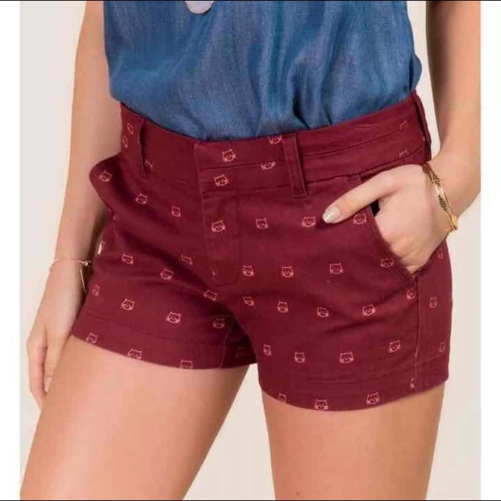 Tiny Tabby Shorts NEW!