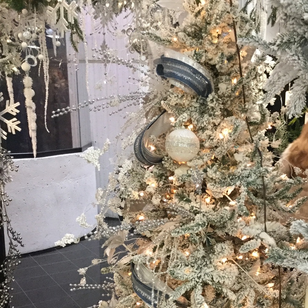 Meet your Posher, Clean Cachet