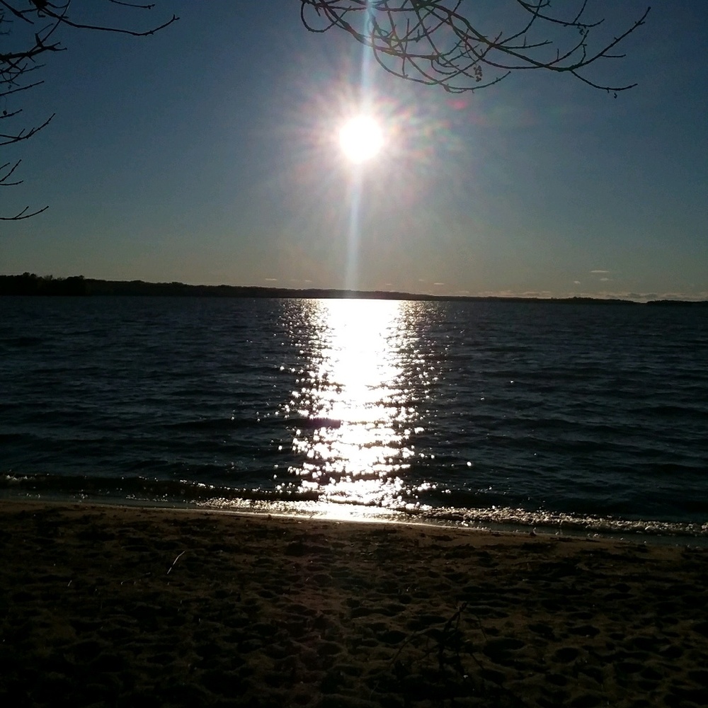 Meet your Posher, Dorothy