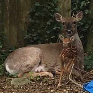 Meet your Posher, Lee