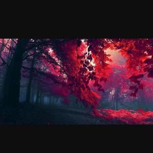 Meet your Posher, Rebekah