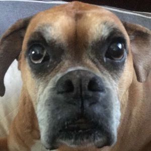 Meet your Posher, Galen