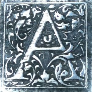 Meet your Posher, Anne