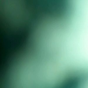 Meet your Posher, Arin