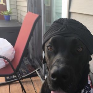 Meet your Posher, Chris