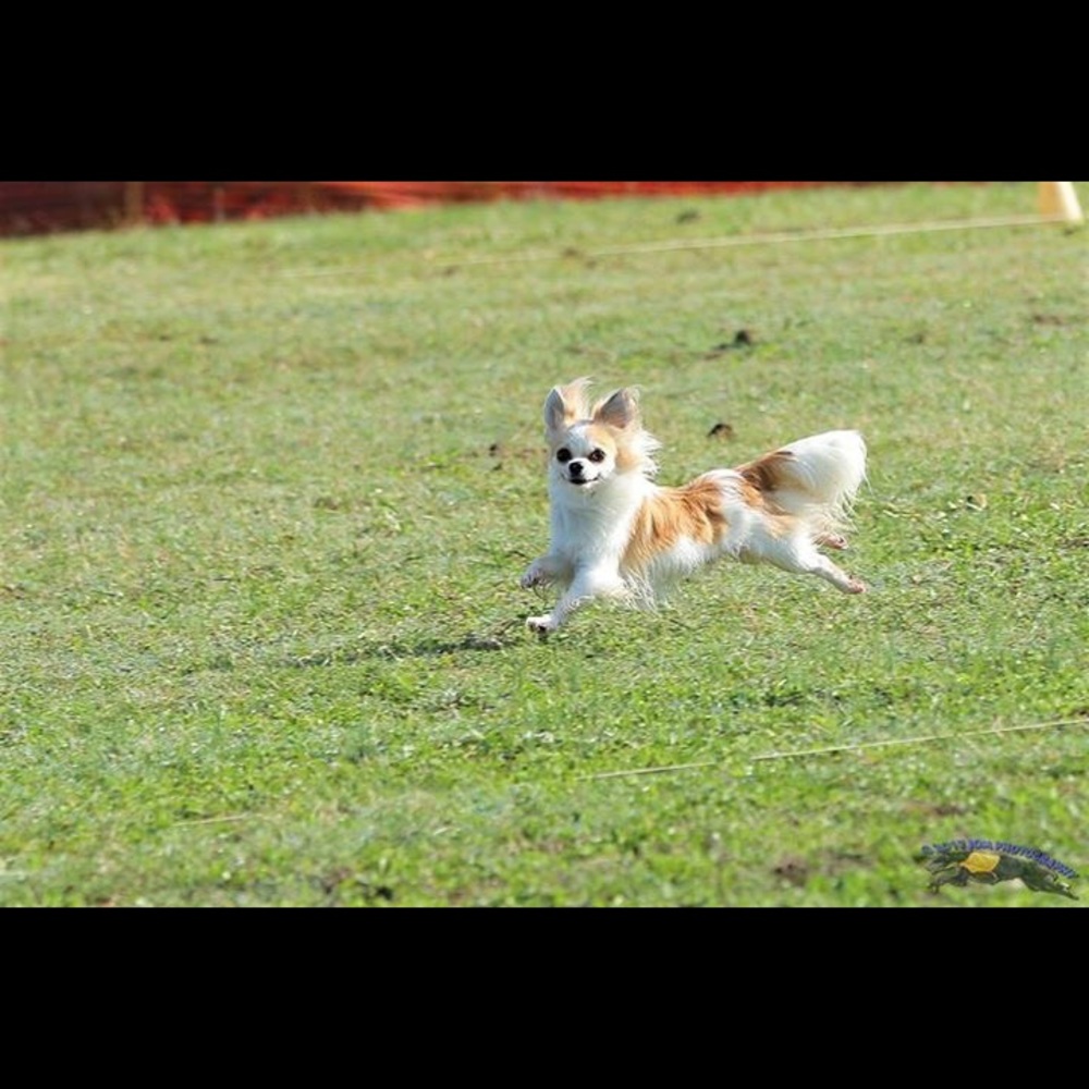 Meet your Posher, Keishla