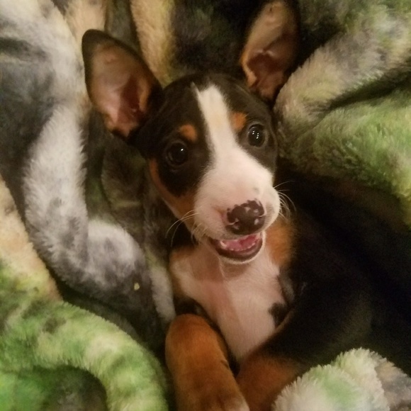 My baby! - Picture 1 of 1