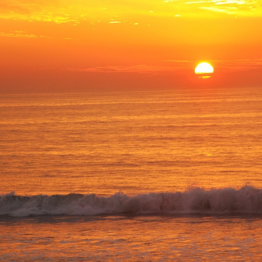 Meet your Posher, Michele