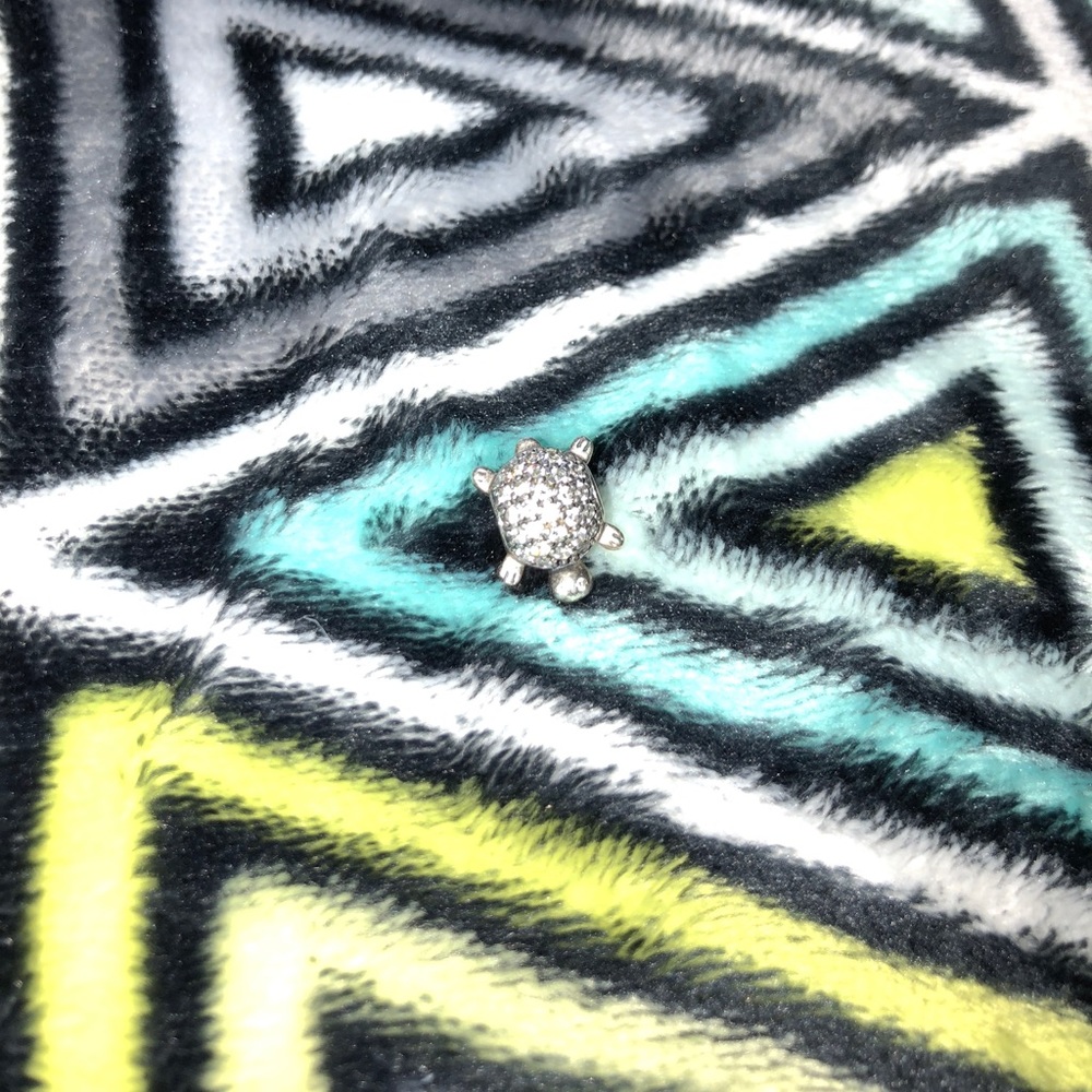 Turtle charm