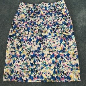 Ann Taylor Pencil Skirt