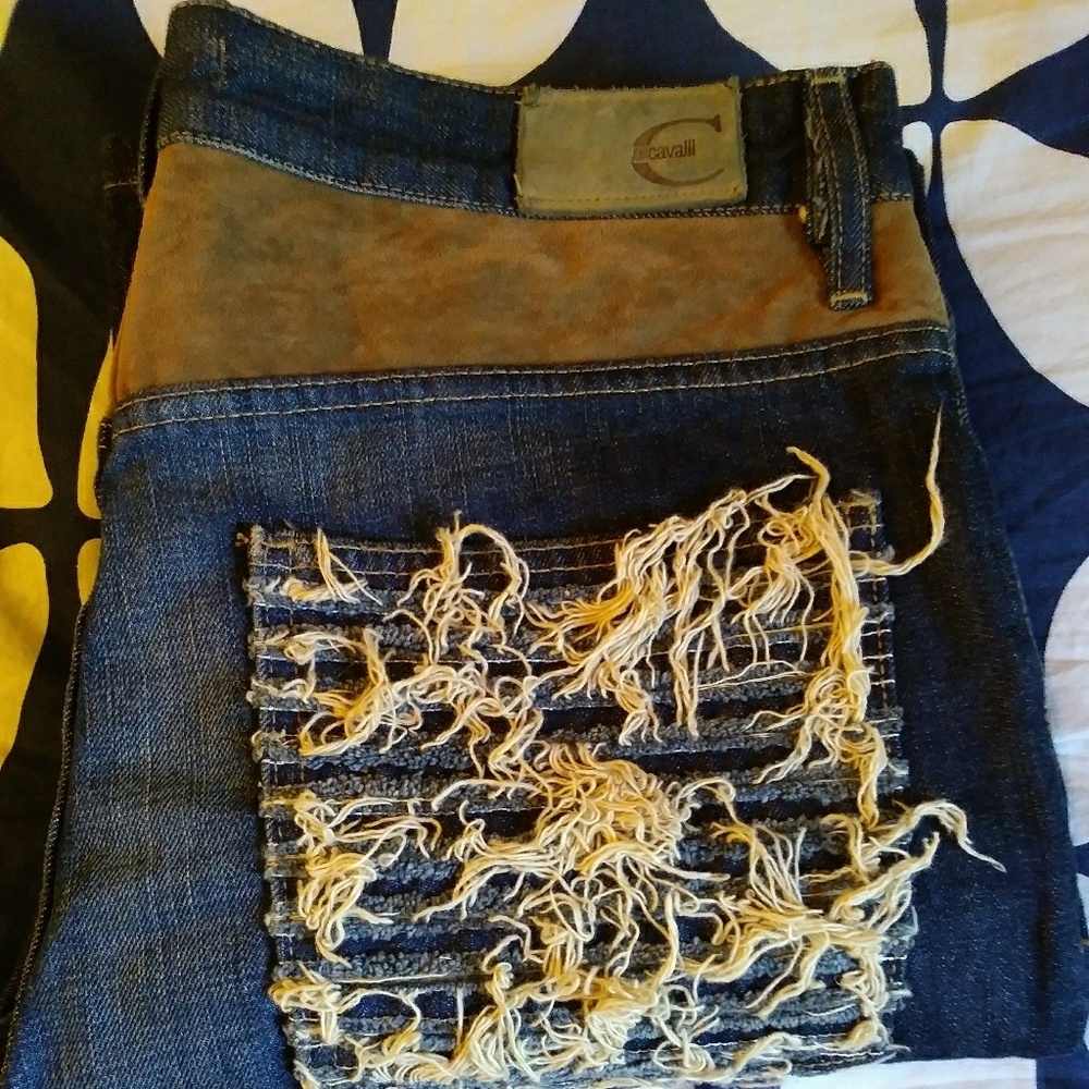 Cavalli Embroidered Couture Jeans/ SZ IT 36/ US 34