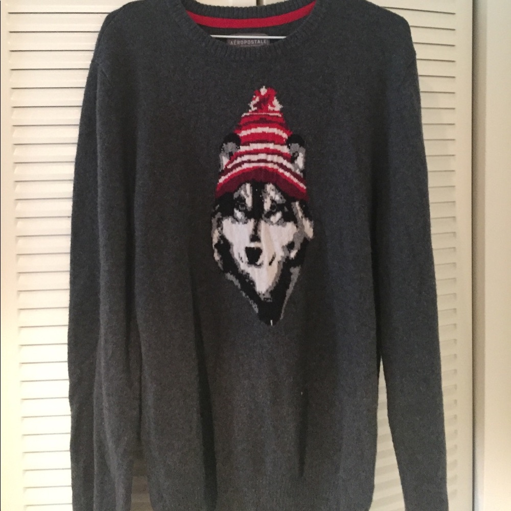 Men’s Aeropostale Sweater