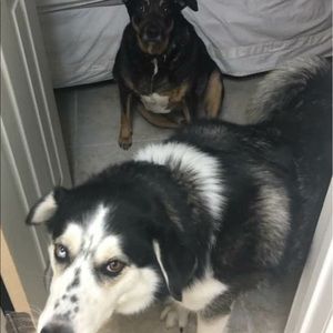 Meet your Posher, Maryam