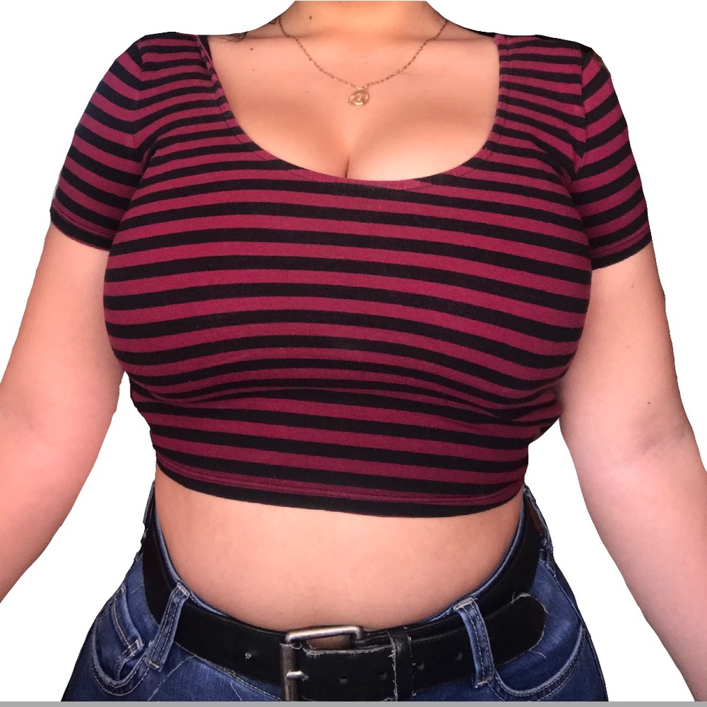 Burgundy and black striped crop top